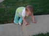 web_20030406carstep.JPG (40216 bytes)