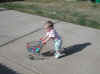 web_20030407-02carpushcart.JPG (52852 bytes)