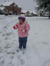web_20040214-018cargloves.JPG (41375 bytes)