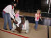 web_20040219-021bethpullcar.JPG (40739 bytes)