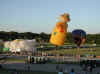 web_20050916-044scarecrow.JPG (45189 bytes)