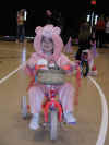 web_20051025-003carbear.JPG (41358 bytes)