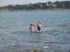 web_20071119-040swimming.JPG (53716 bytes)