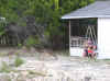 web_20071119-075deeratdusk.JPG (75527 bytes)