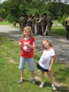 web_20080526-017memorialday.JPG (85954 bytes)